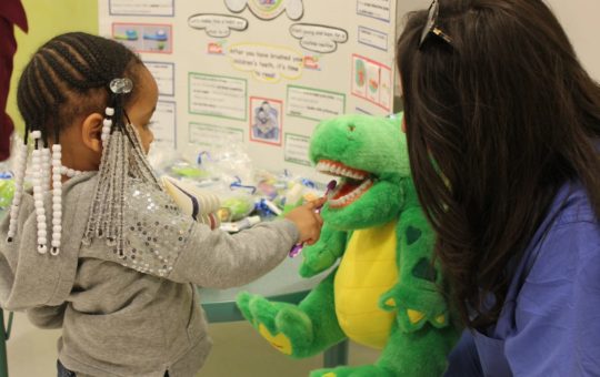 A young child at Loyola Early Learning Center learns about good brushing habits by practicing on a stuffed crocodile.