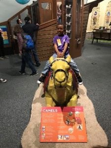 A young boy rides a pretend camel at a children's museum