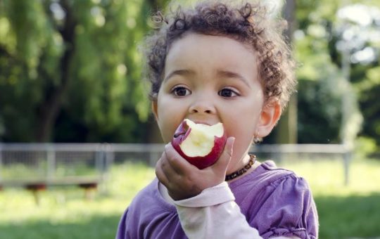 A young child in a purple shirt eats an apple.