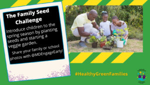 MFE Presents: Healthy Green Families