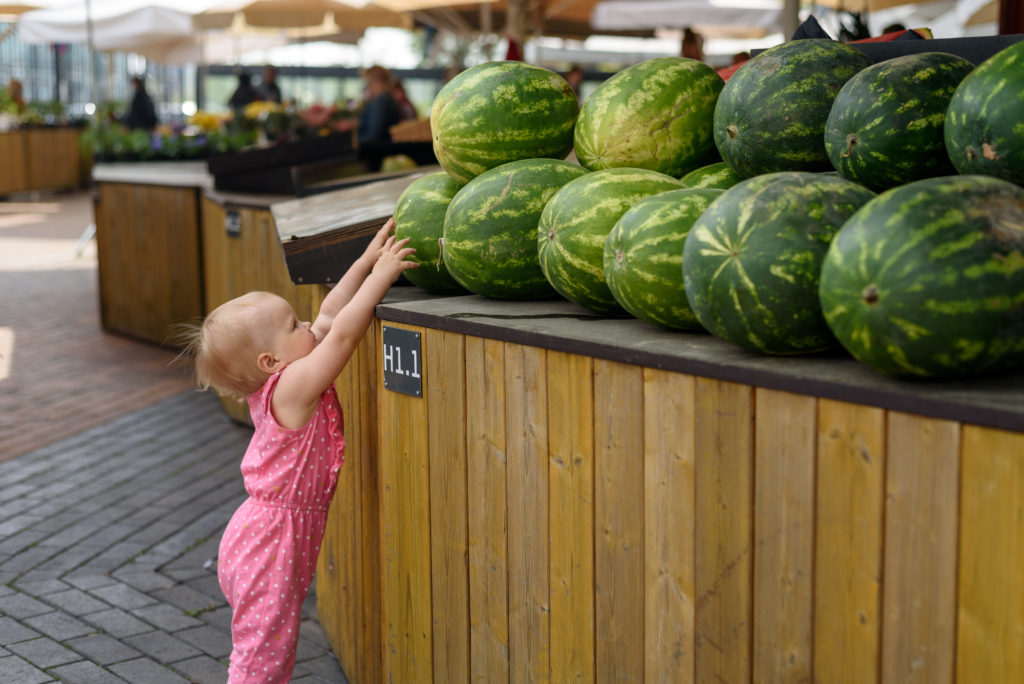 Baby girl choosing watermelon