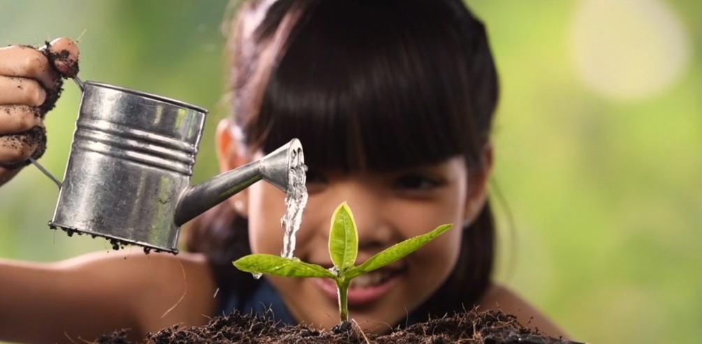 Girl watering a plant.